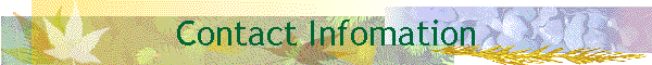 Contact Infomation