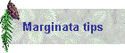 Marginata tips