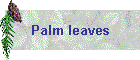Palm leaves