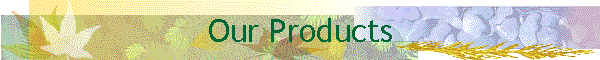 Our Products