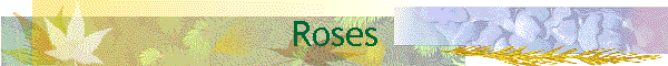 Roses